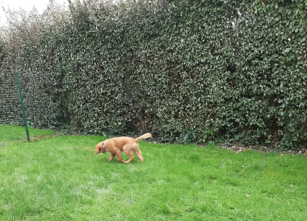Méthode bienveillante à Nantes
